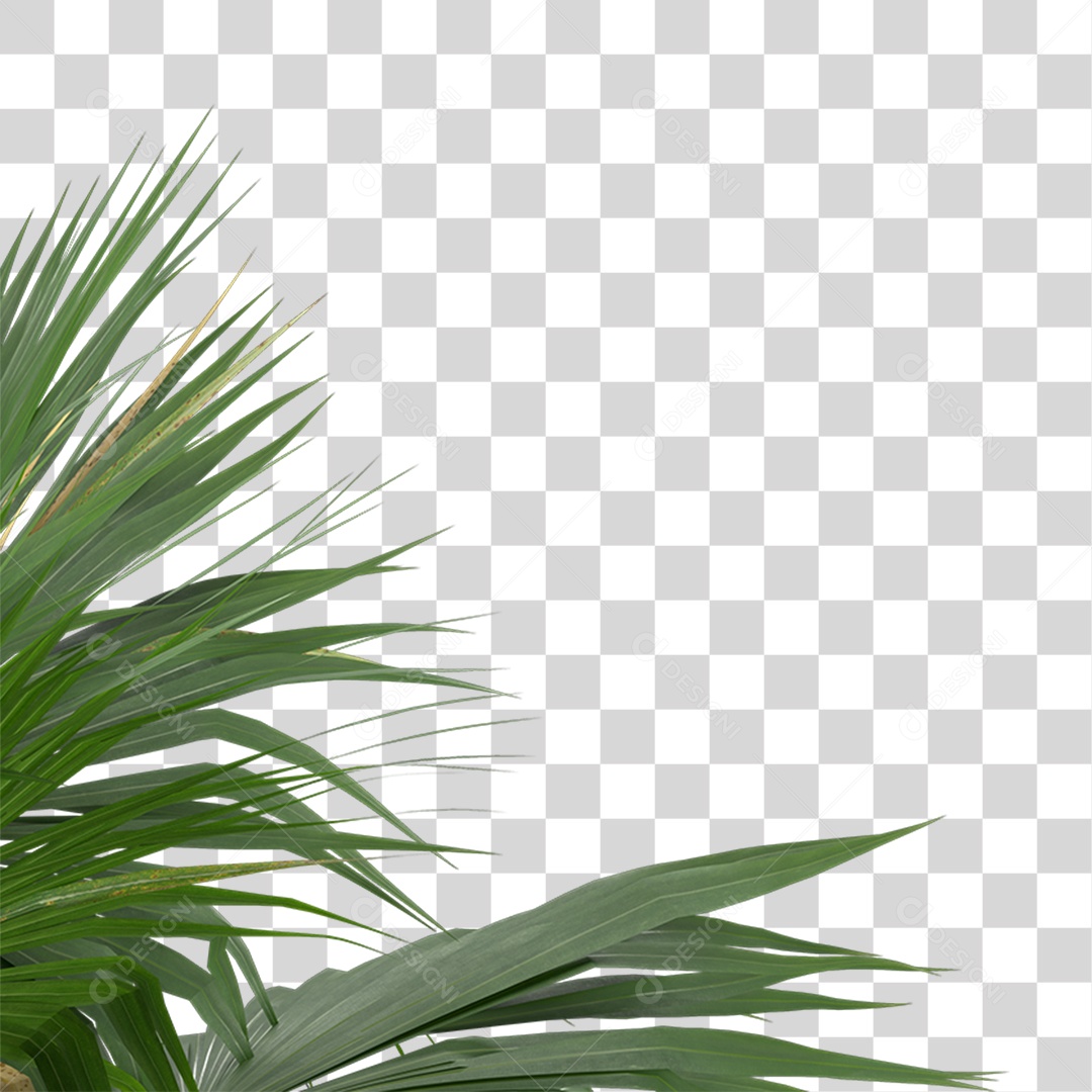 Planta Com Folhas Verde PNG Transparente