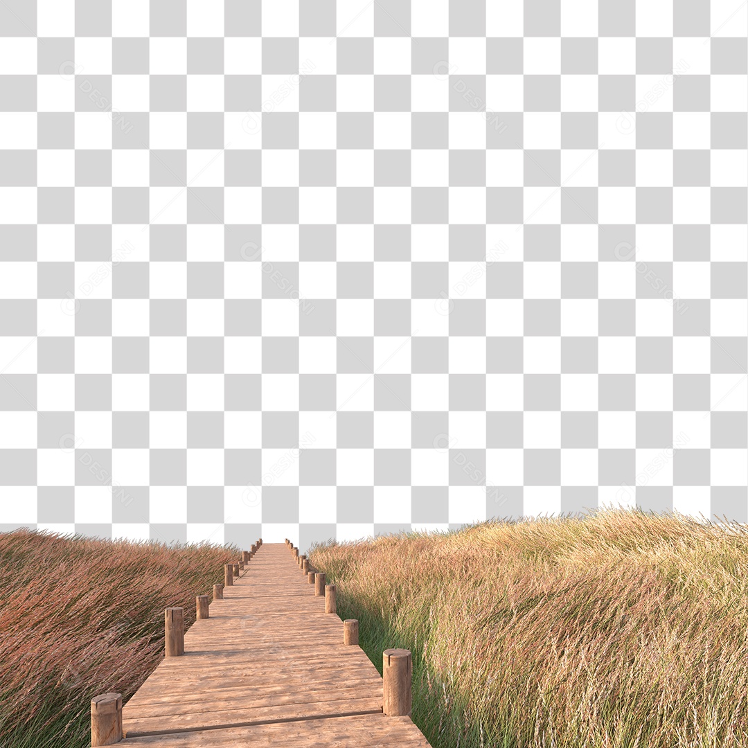 Passarela Sobre Campo PNG Transparente