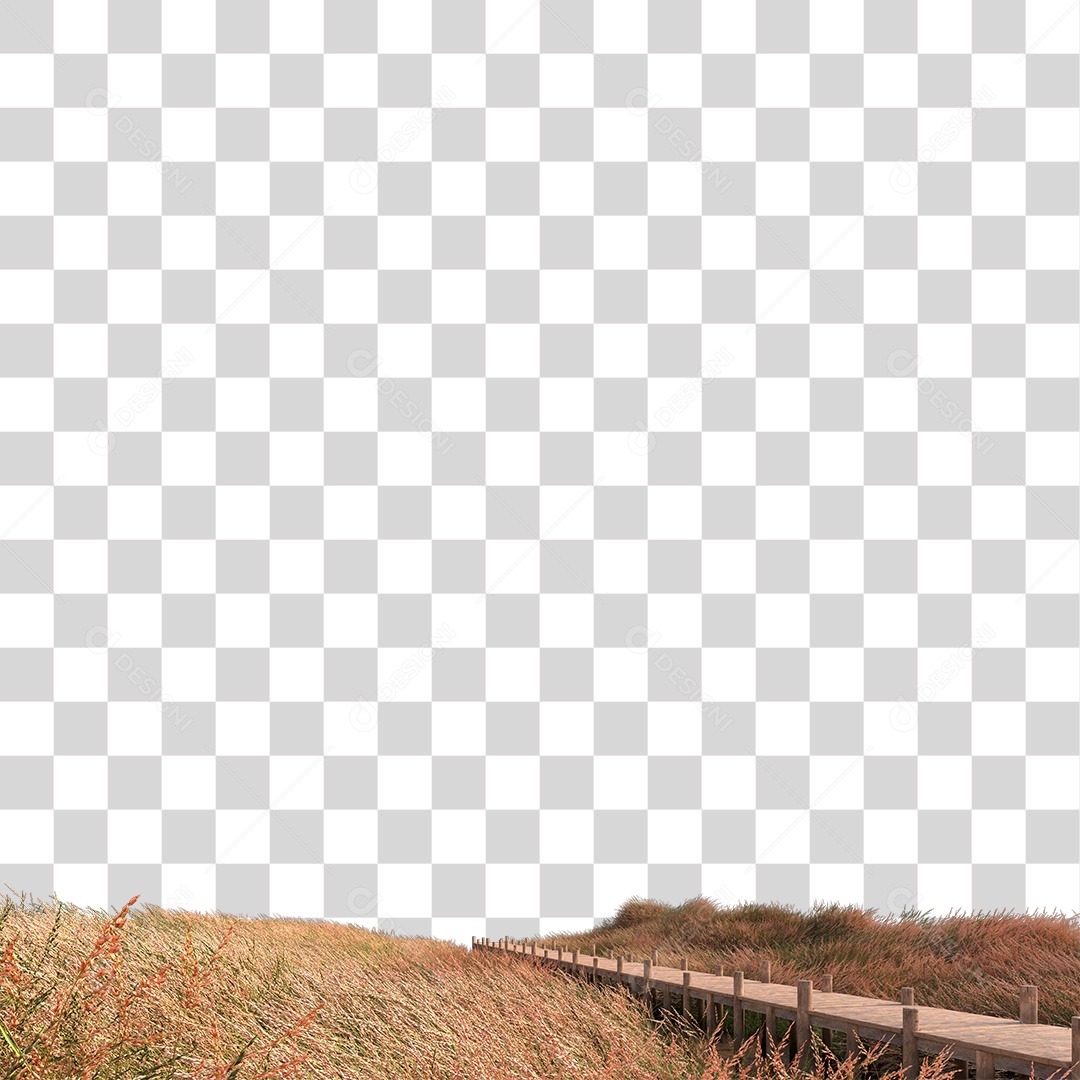 Passarela Sobre Campo PNG Transparente