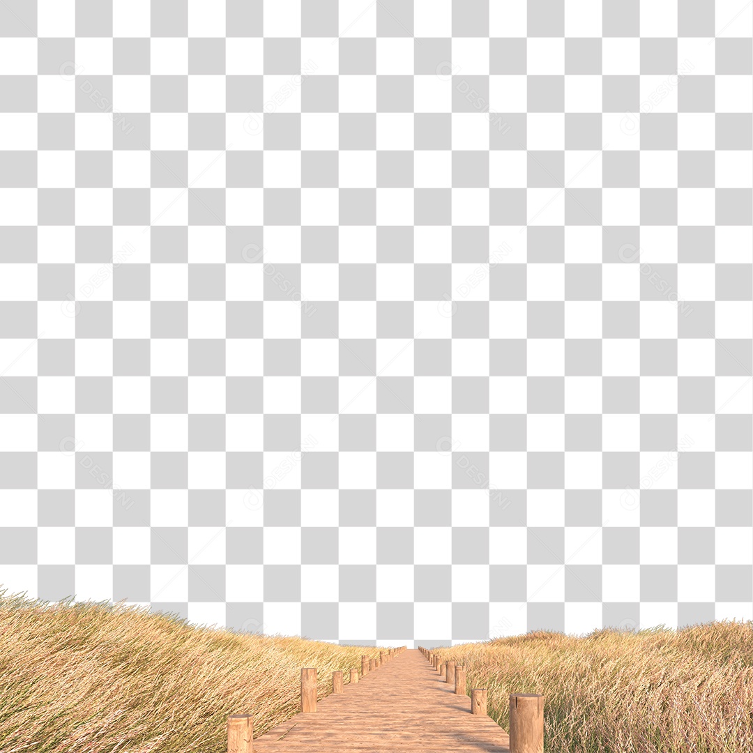 Passarela Sobre Campo PNG Transparente