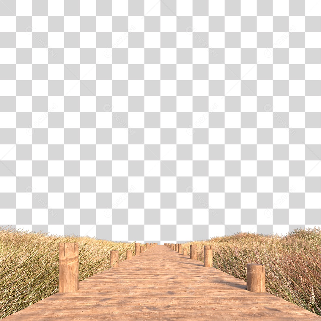 Passarela Sobre Campo PNG Transparente