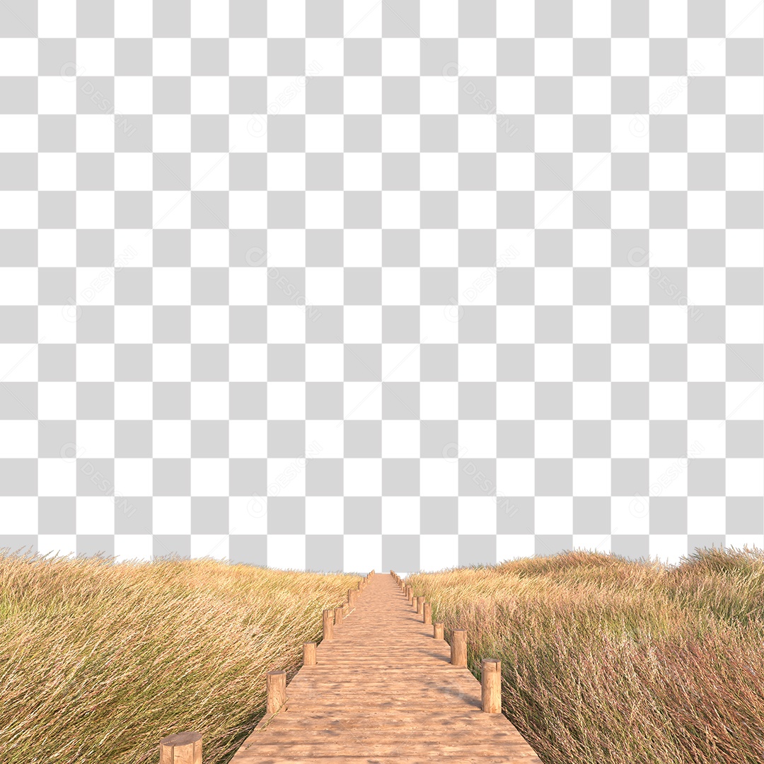 Passarela Sobre Campo PNG Transparente