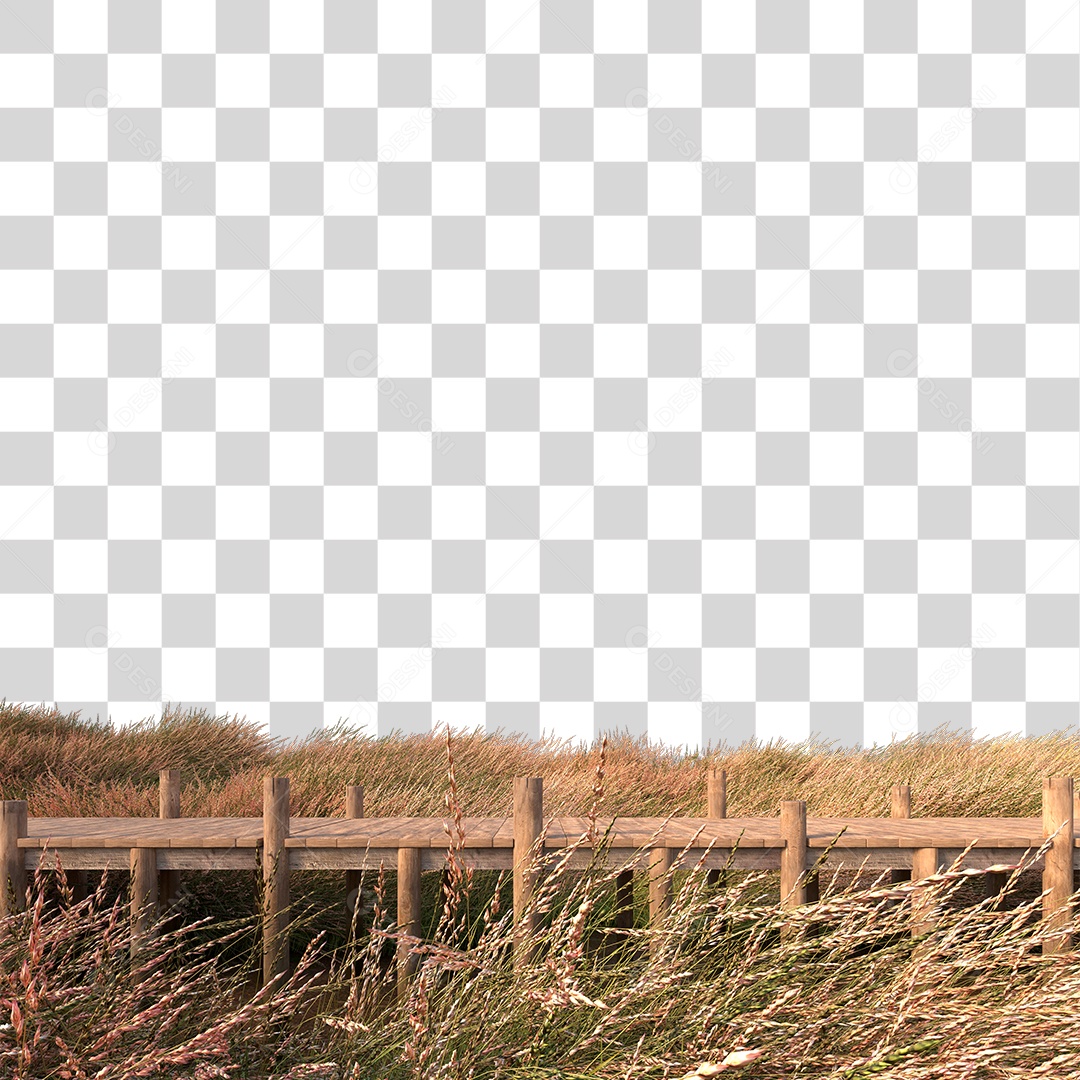 Passarela Sobre Campo PNG Transparente