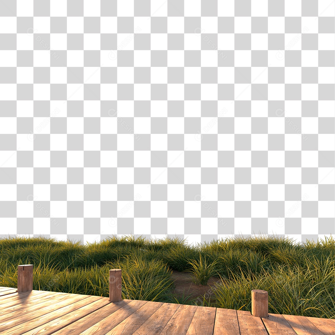 Passarela Sobre Campo Verde PNG Transparente