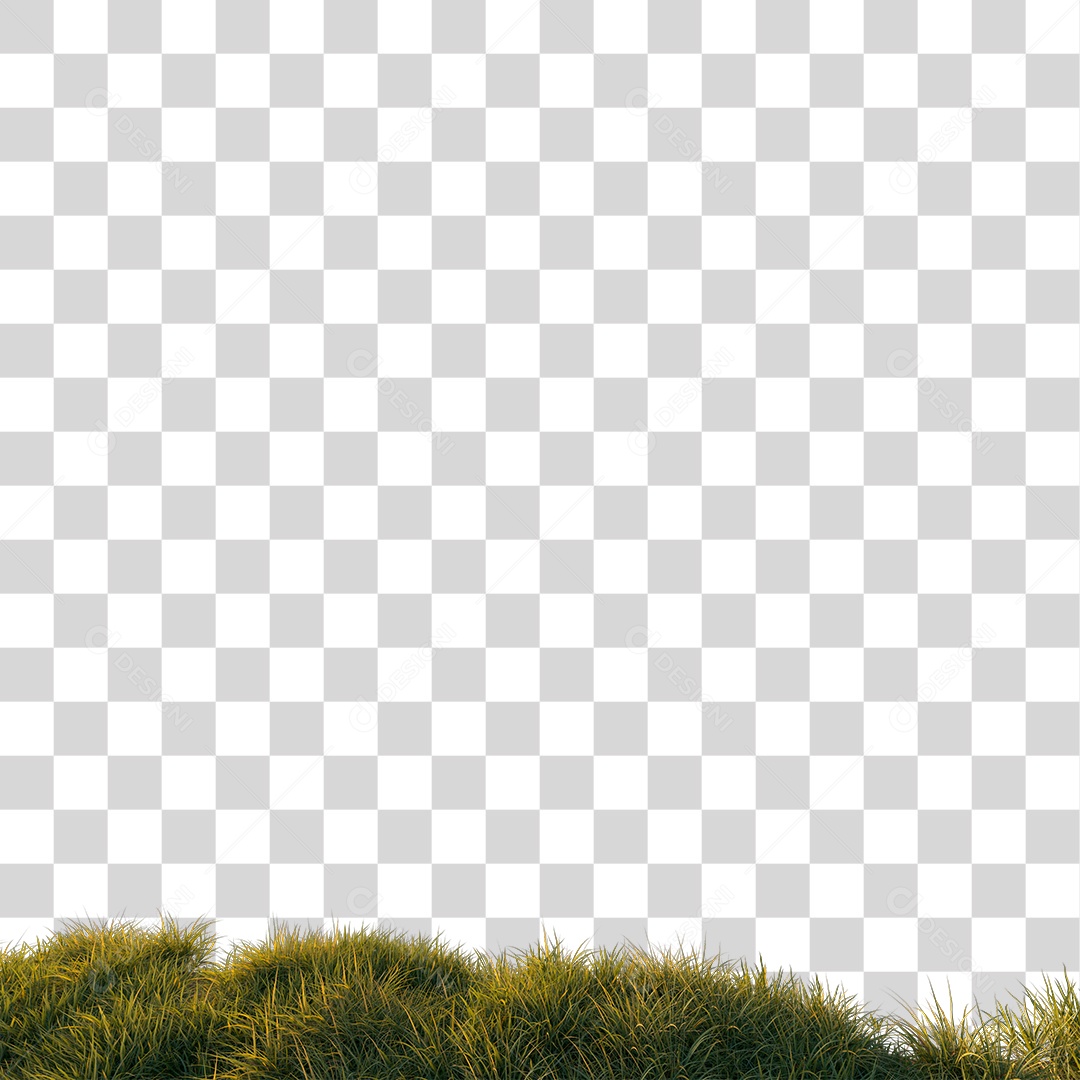 Planta Arbusto PNG Transparente