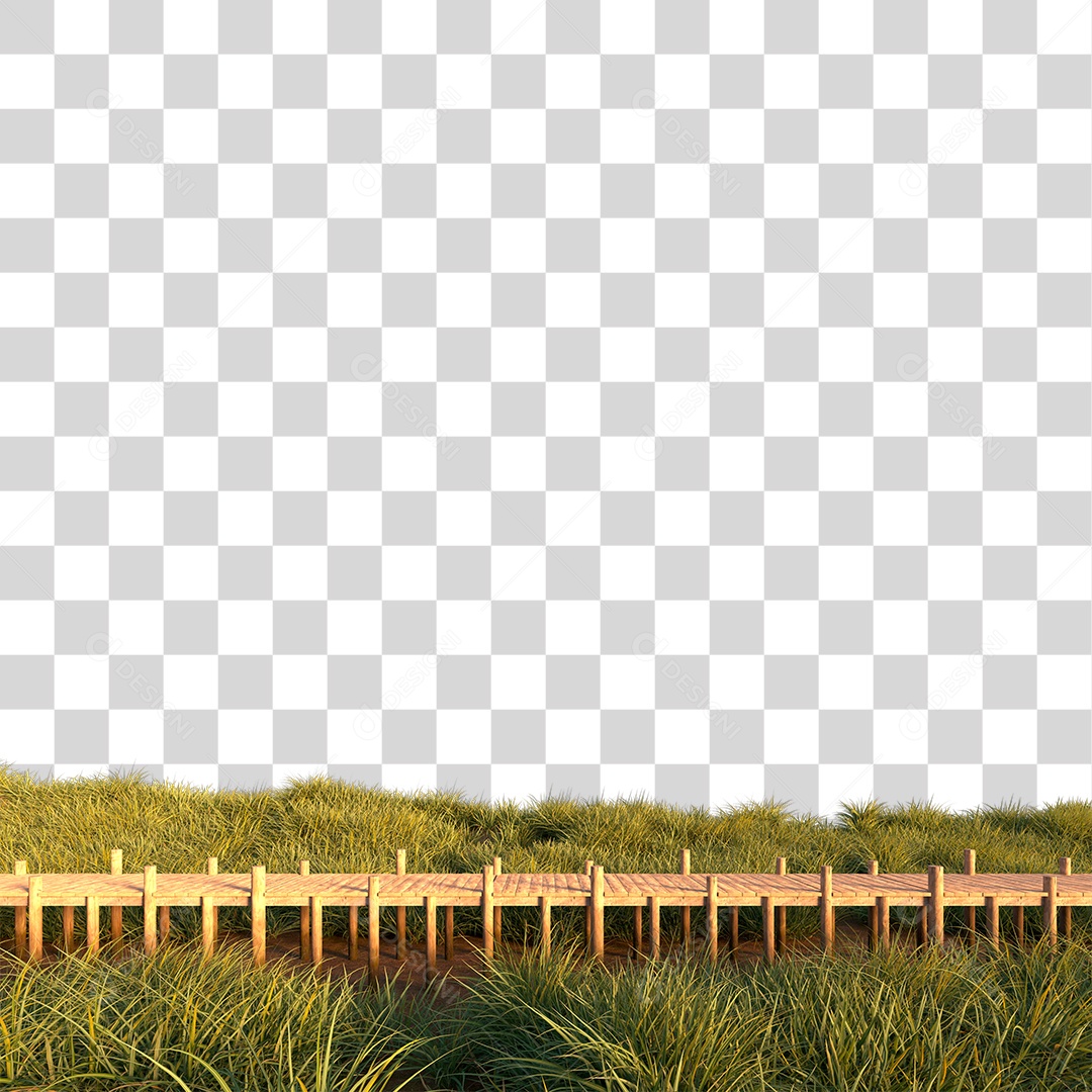 Passarela Sobre Campo Verde PNG Transparente