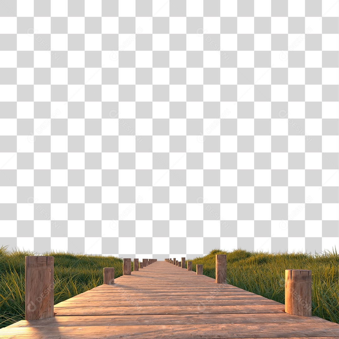 Passarela Sobre Campo Verde PNG Transparente