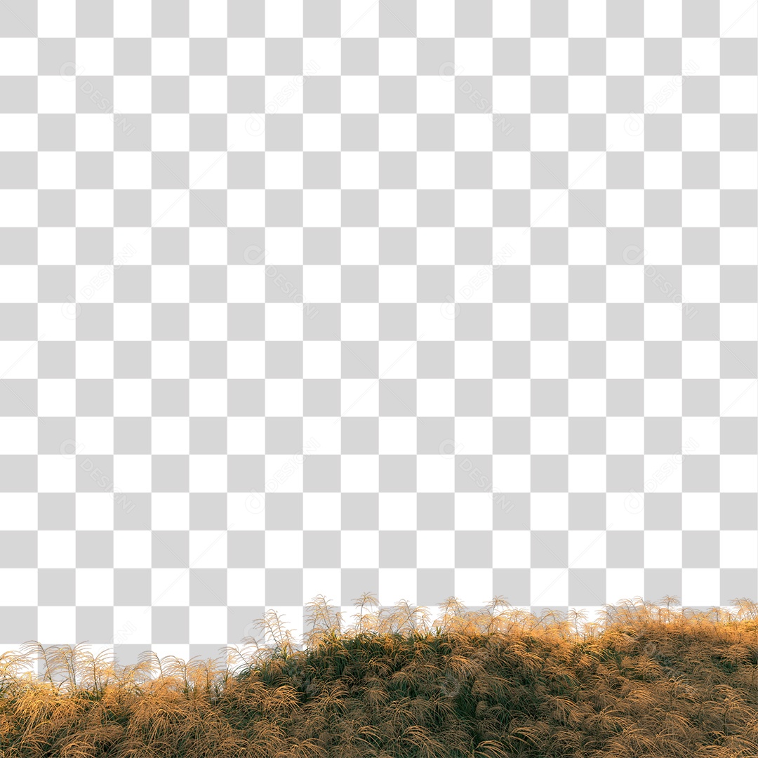 Planta Arbusto PNG Transparente