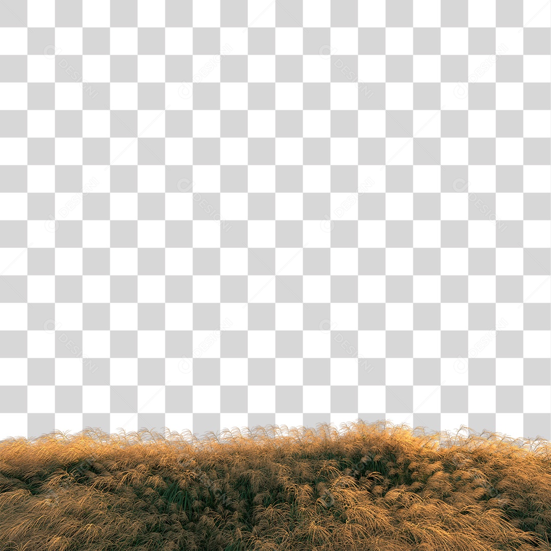 Planta Arbusto Com Flores PNG Transparente