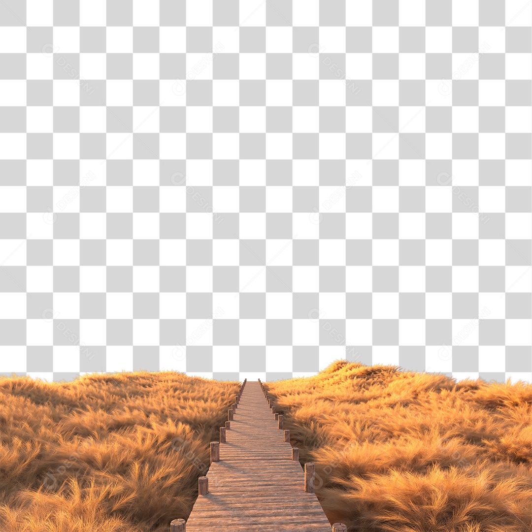 Passarela Sobre Campo ao Por Do Sol PNG Transparente