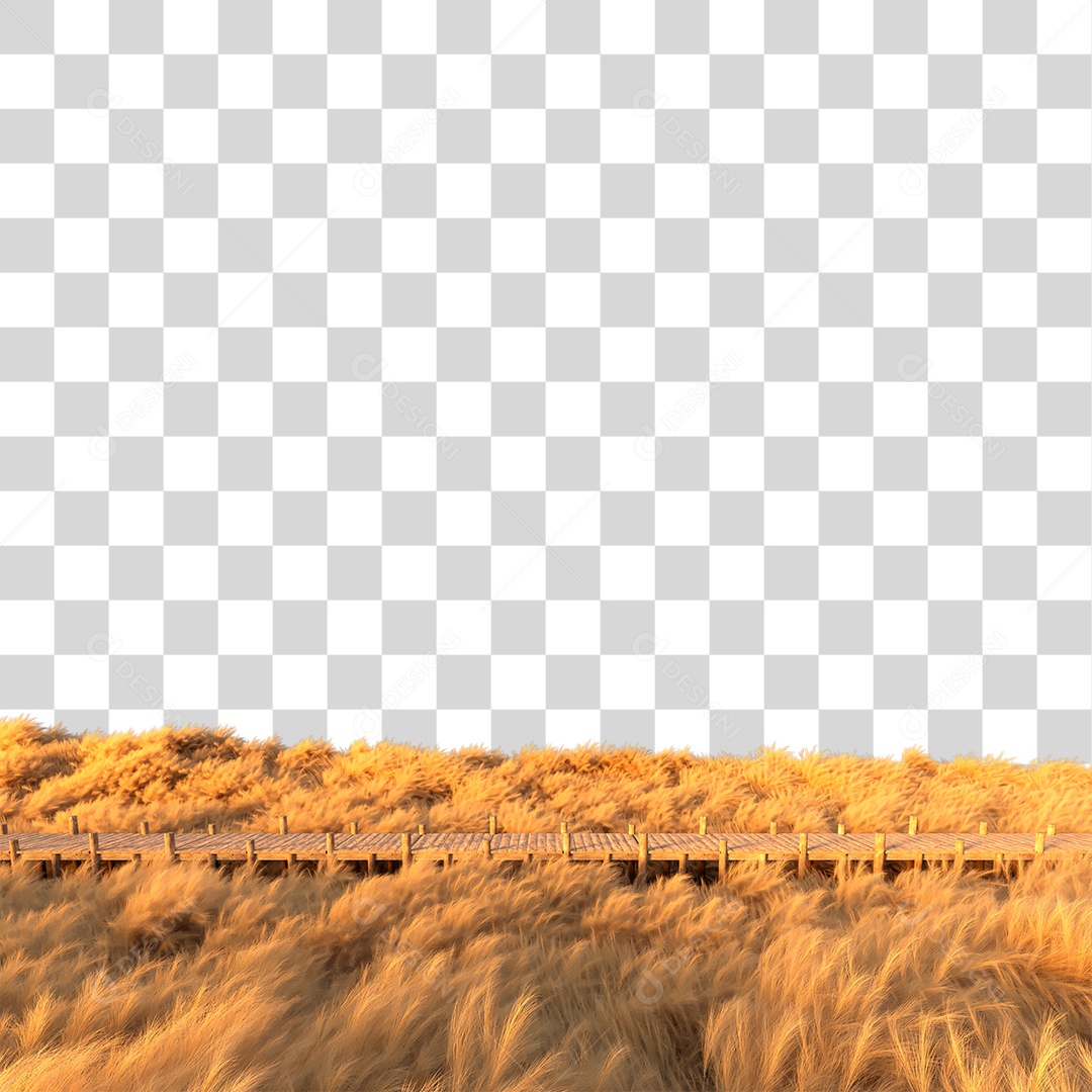 Passarela Sobre Campo Ao Por Do Sol PNG Transparente