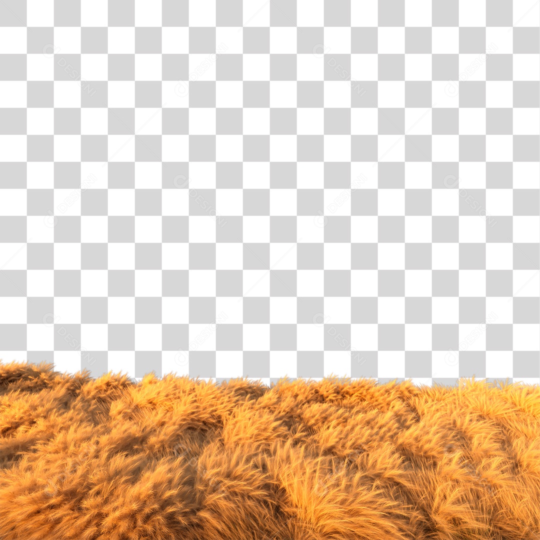 Campo Ao Por DoSolPNG Transparente