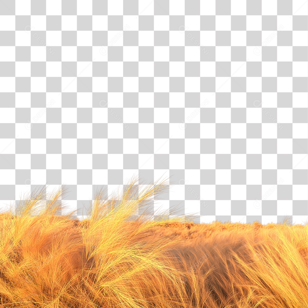 Campo Ao Por Do Sol PNG Transparente