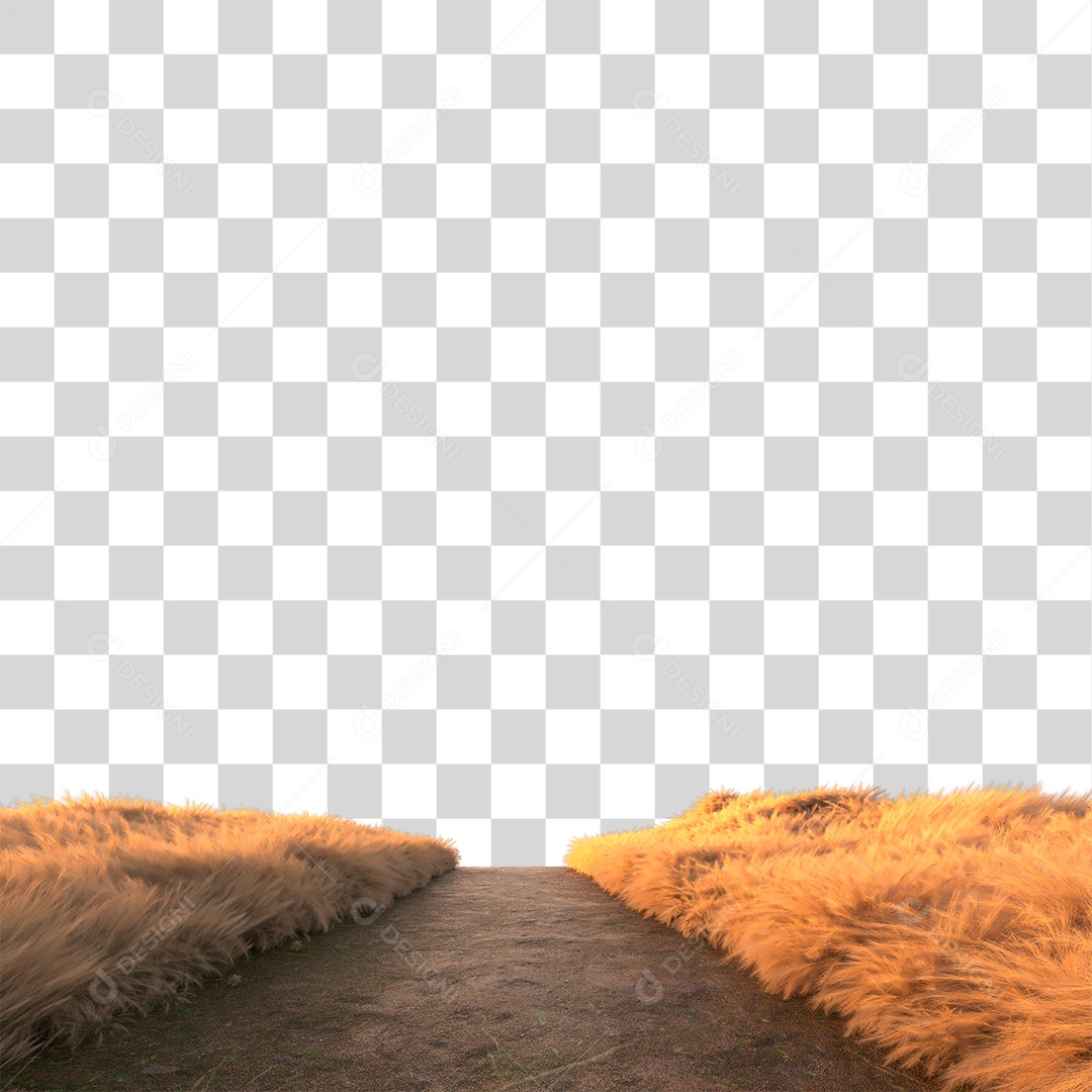 Planta Arbusto Com Estrada E Fim De Tarde PNG Transparente