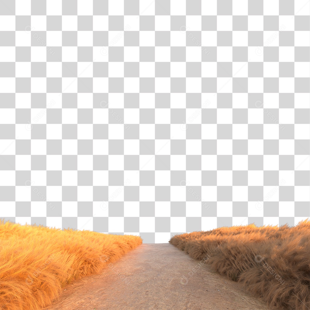 Planta Arbusto Estrada PNG Transparente