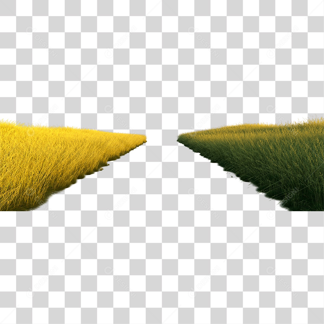 Campo Verde Com Passagem No Meio PNG Transparente