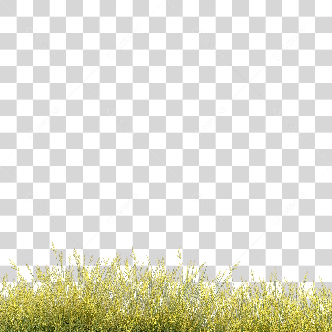 Passarela Sobre Campo ao Por Do Sol Com Flores PNG Transparente