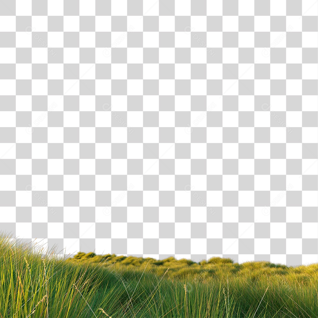 Paisagen De Campo Verde PNG Transparente