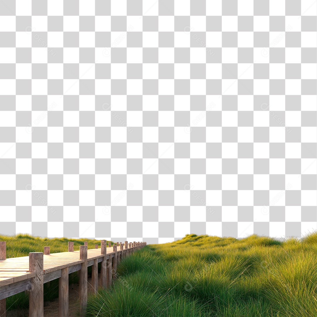 Passarela Sobre Campo Verde ao Amanhecer PNG Transparente