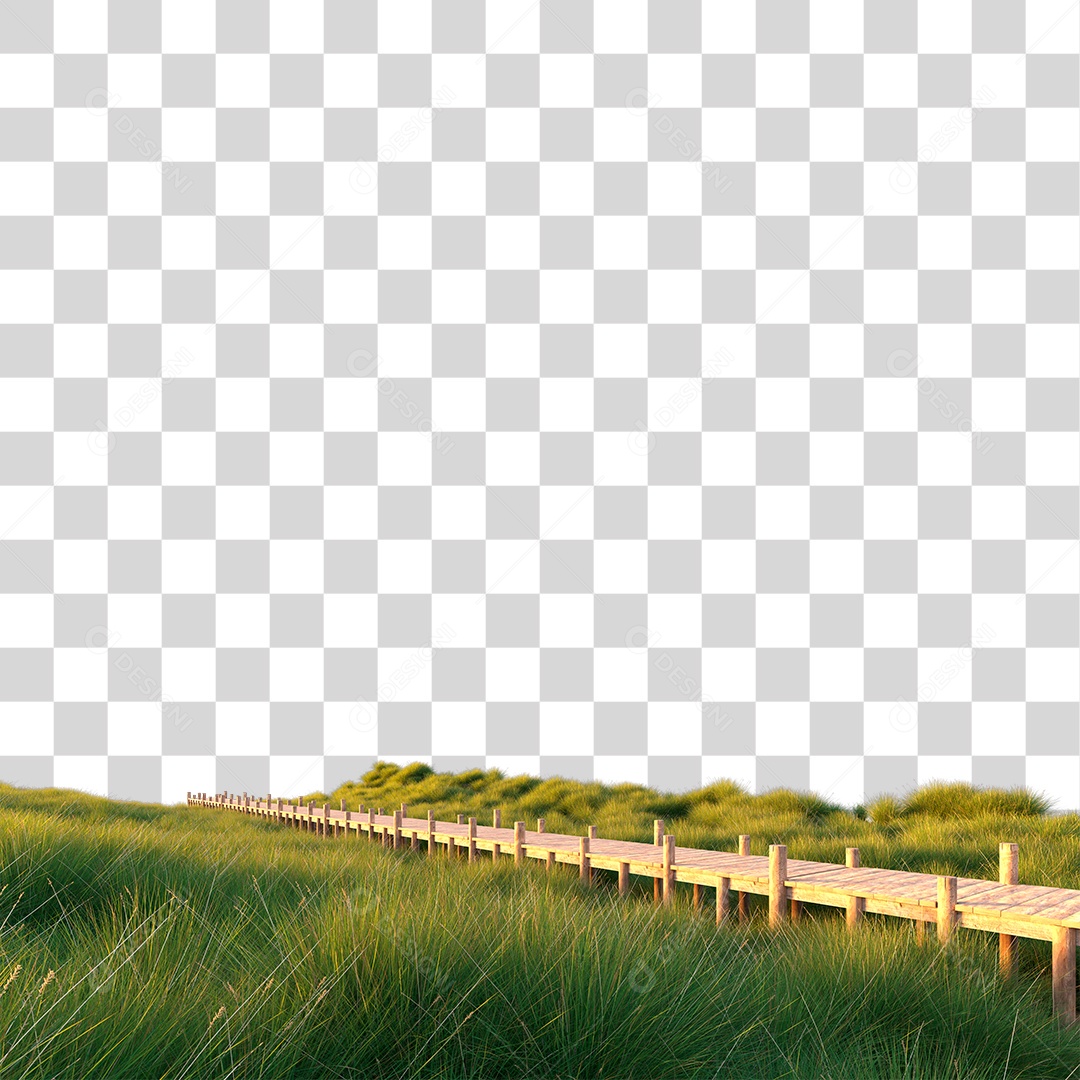 Passarela De Madeira Sobre Campo Verde ao Por Do Sol PNG Transparente