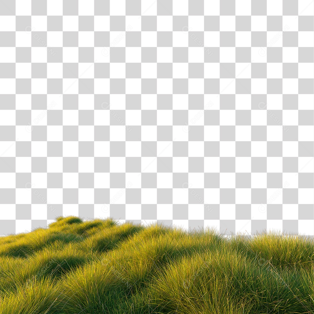 Campo Verde PNG Transparente