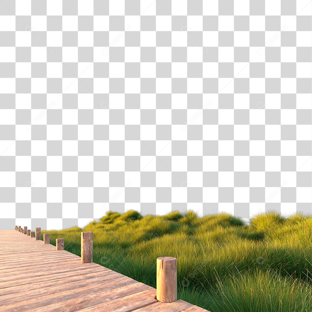 Passarela Sobre Campo Verde ao Por Do Sol PNG Transparente