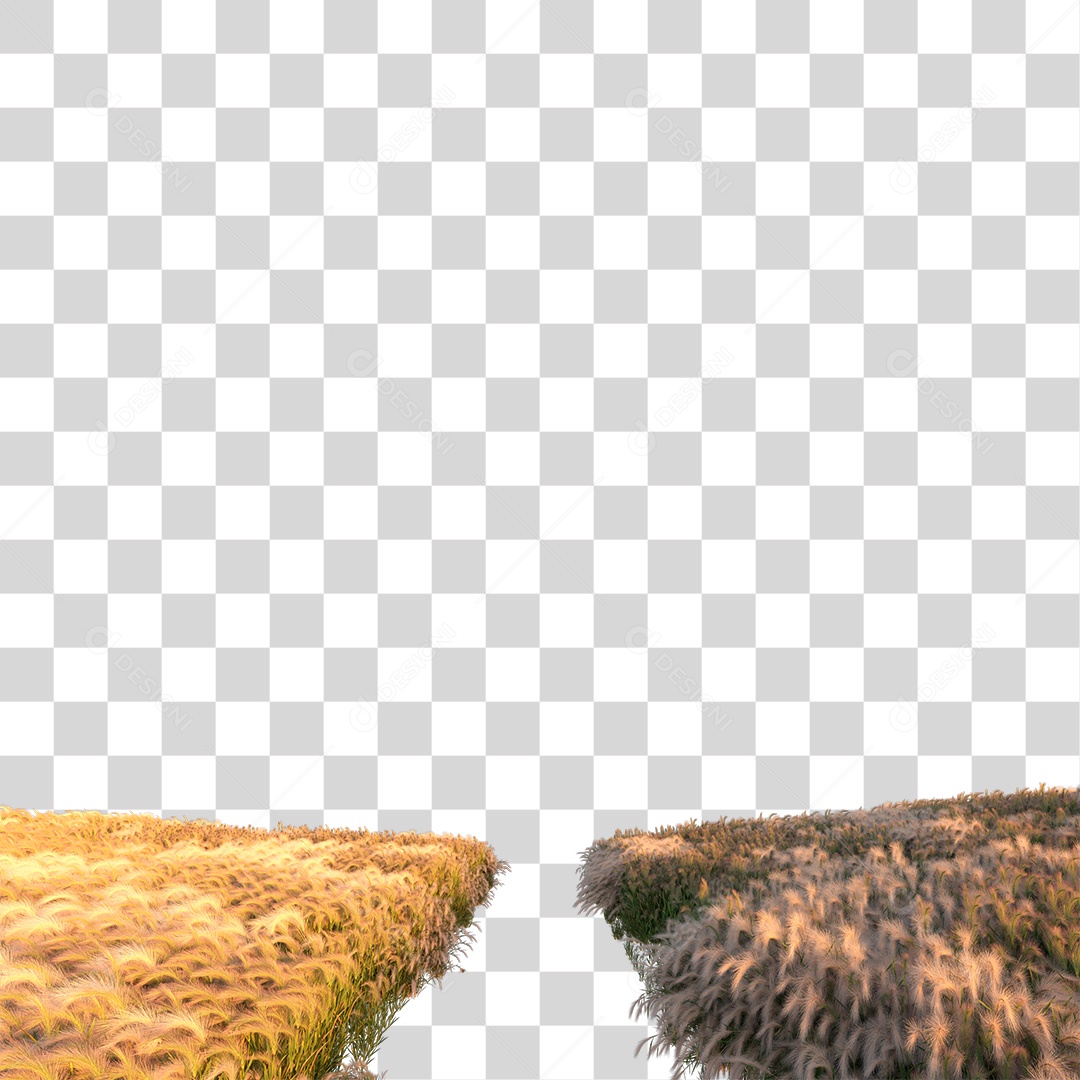 Arbustos Com Passagem No Meio ao Por Do Sol PNG Transparente