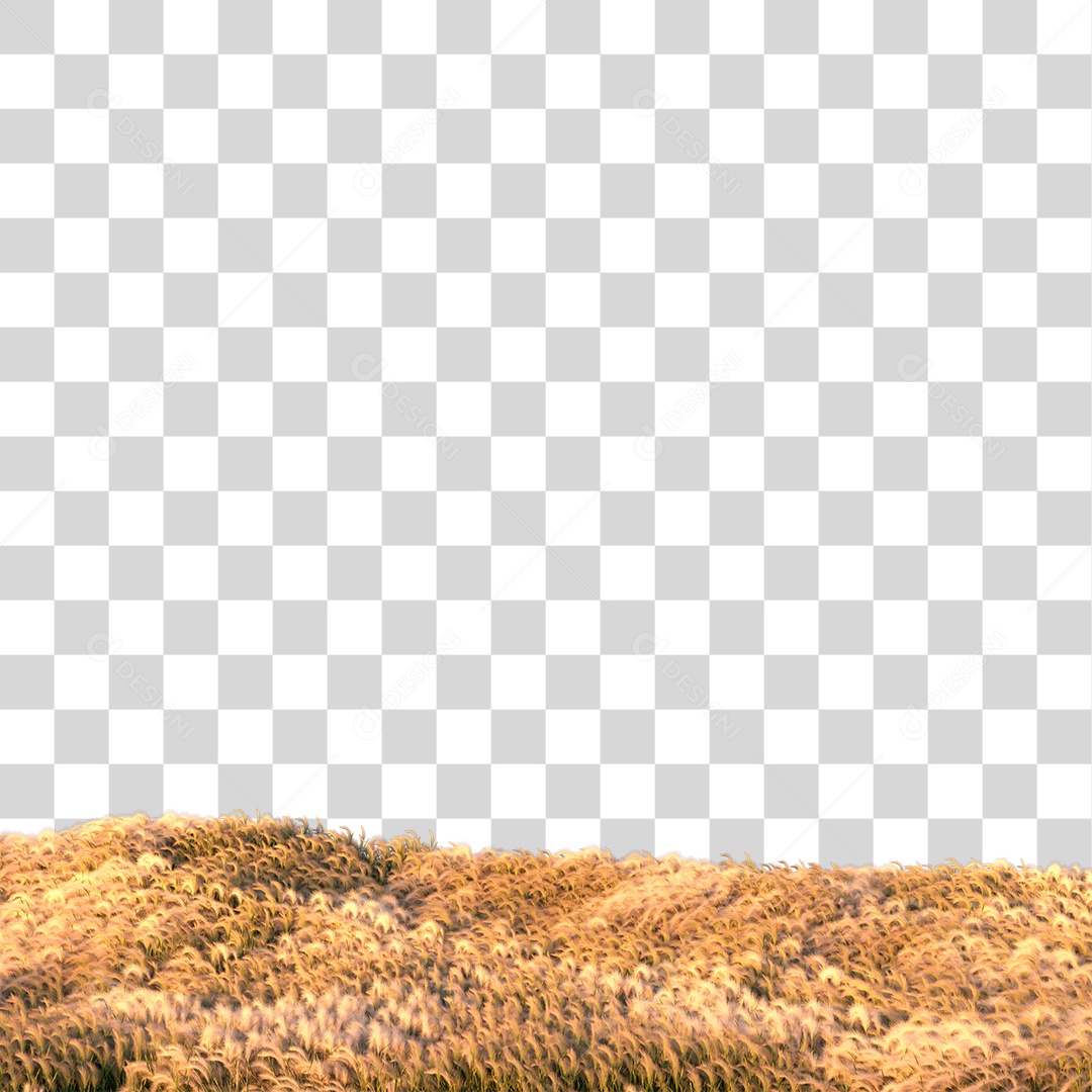 Planta Arbusto om Flores ao Por Do Sol PNG Transparente