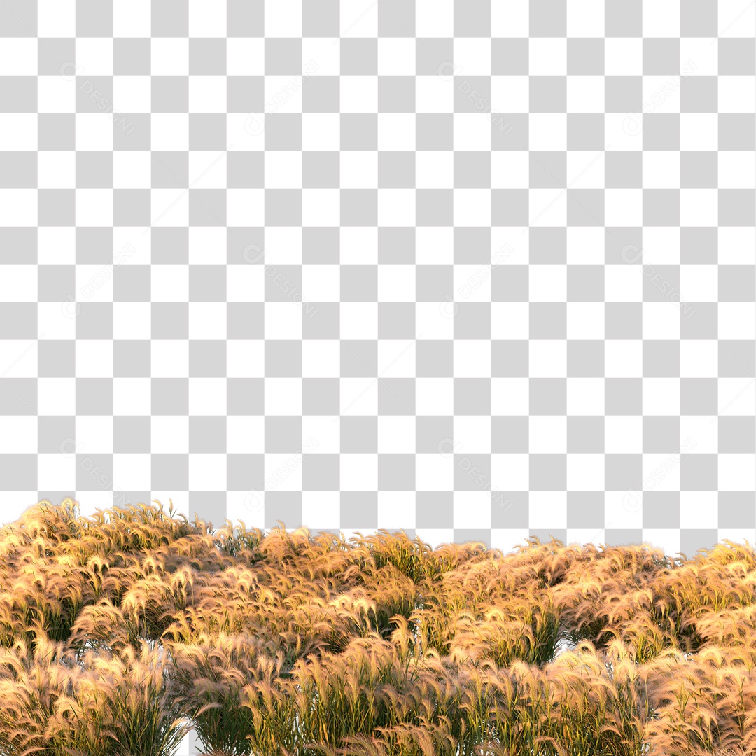 Plant Arbusto PNG Transparent