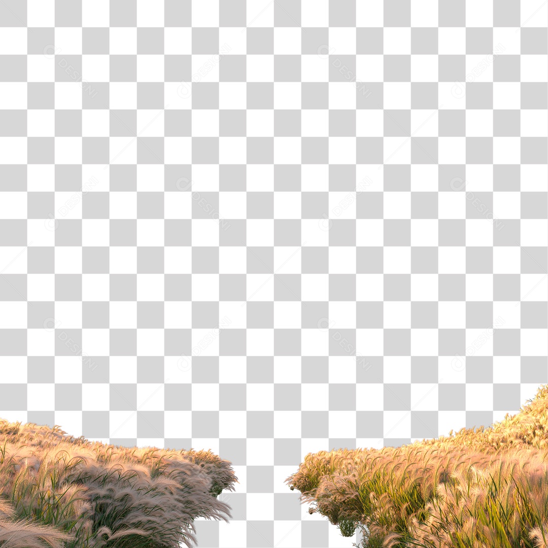 Planta Arbusto PNG Transparente