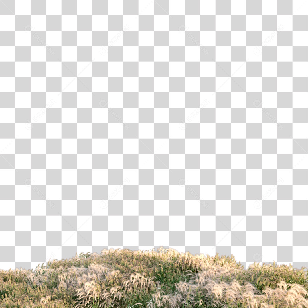 Planta Arbusto PNG Transparente