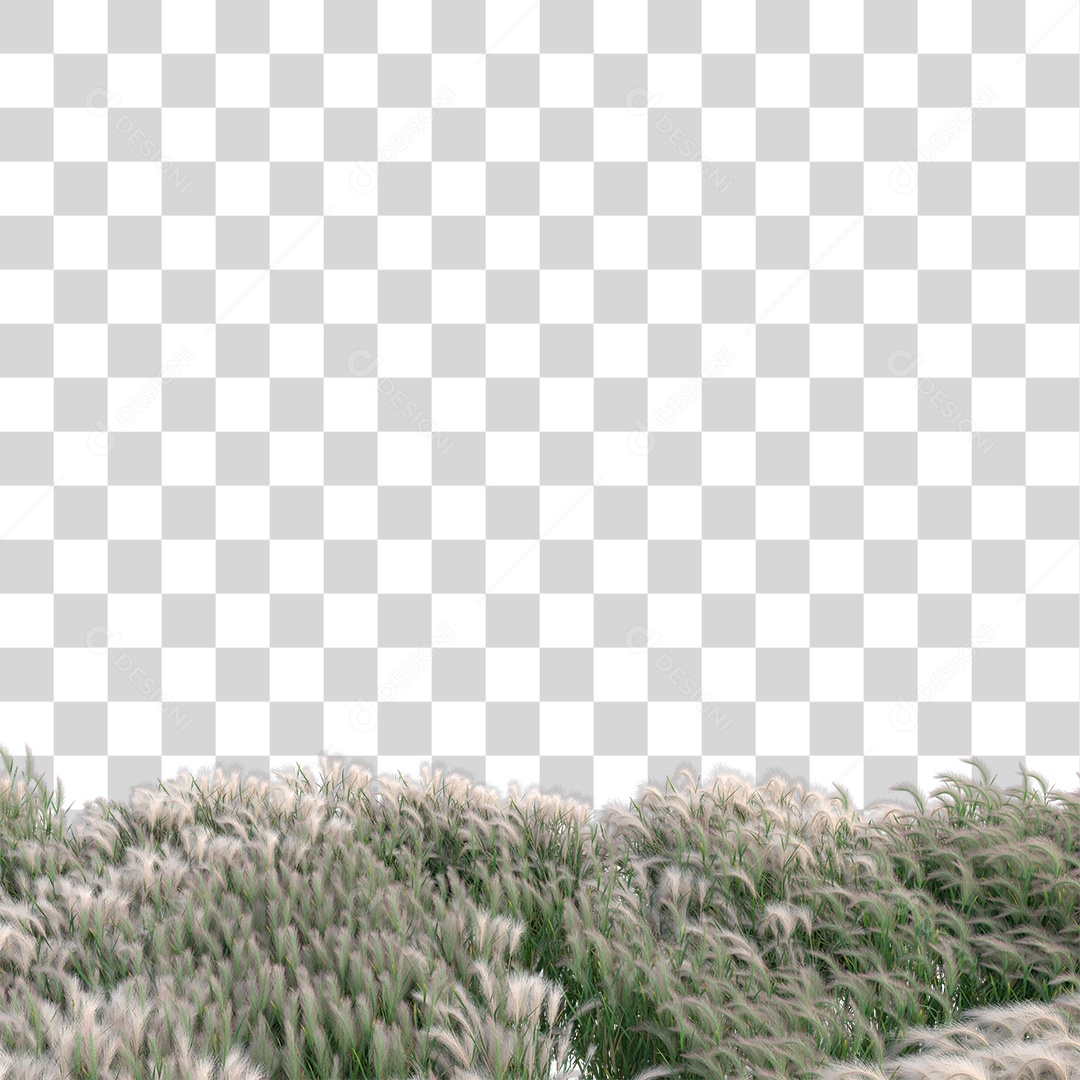 Paisagem Planta Arbusto PNG Transparente