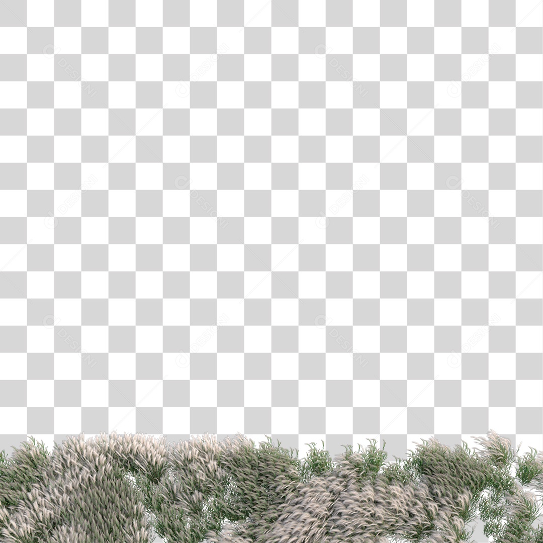 Planta Arbusto PNG Transparente