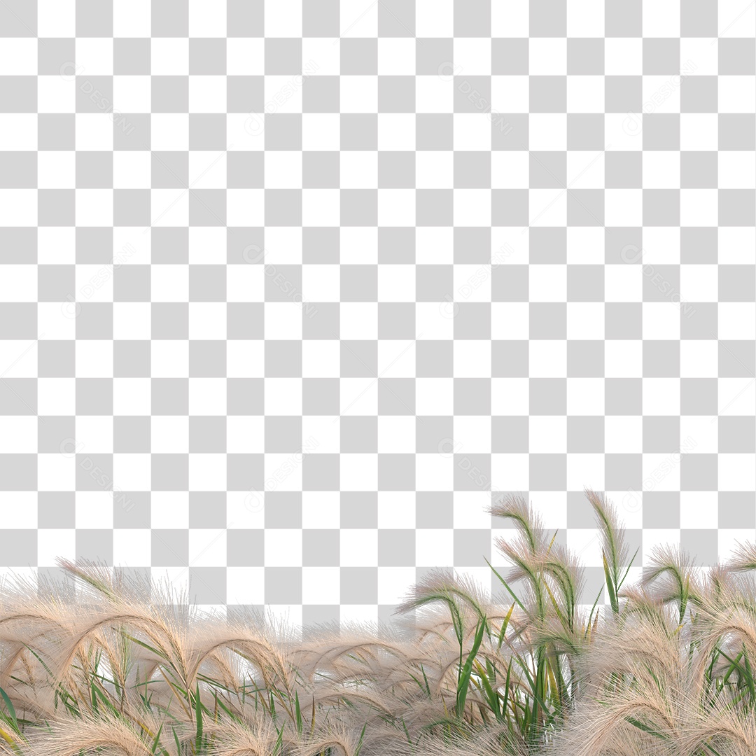 Planta Arbusto De Capim Verde PNG Transparente