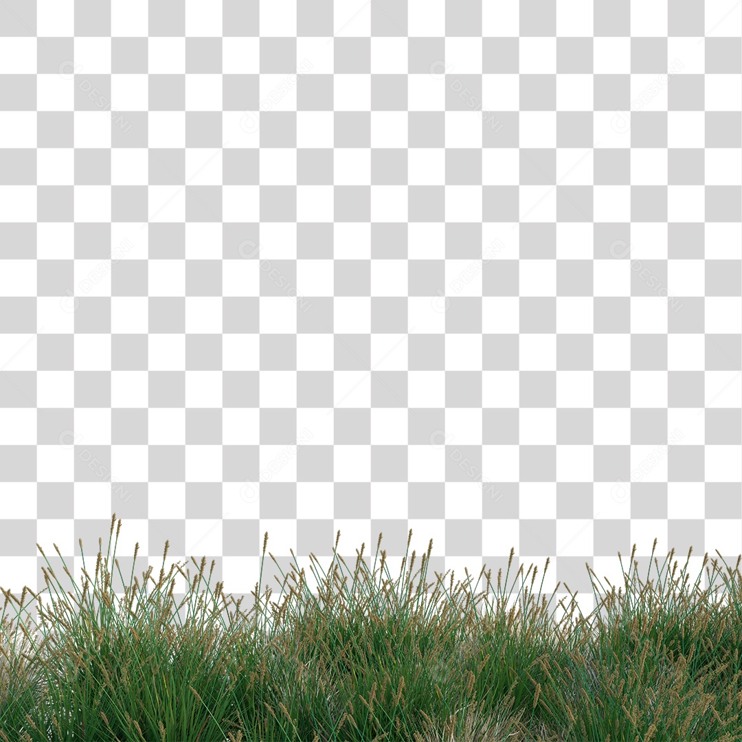 Capim Verde PNG Transparente