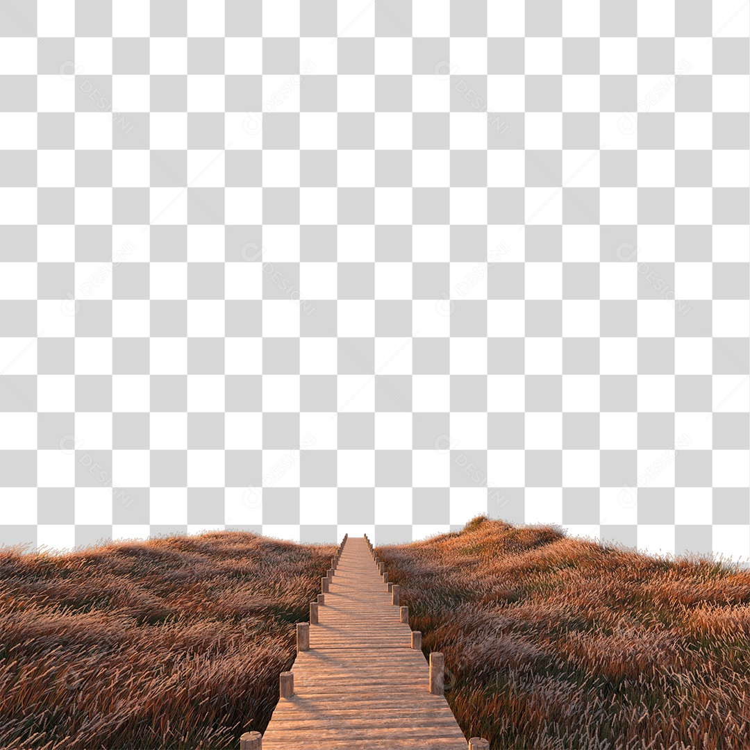 Passarela Sobre Campo ao Por Do Sol Lindo  PNG Transparente