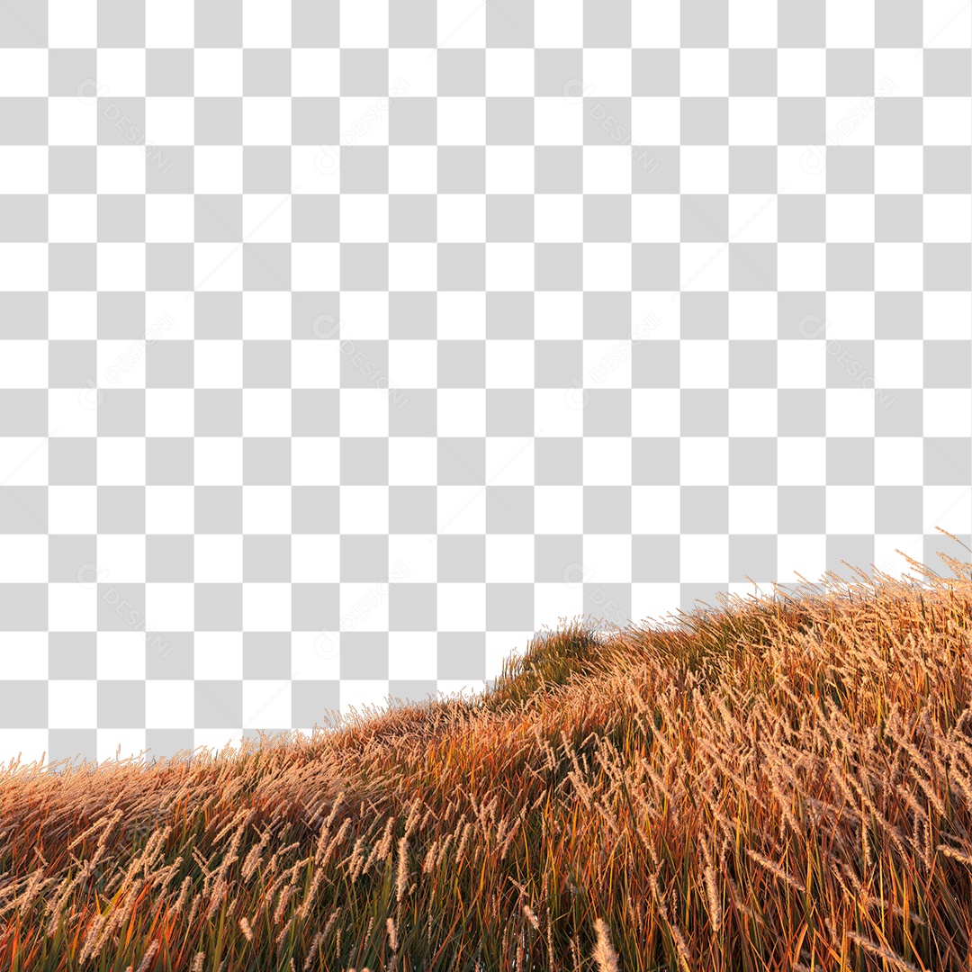 Paisagem de Campo PNG Transparente