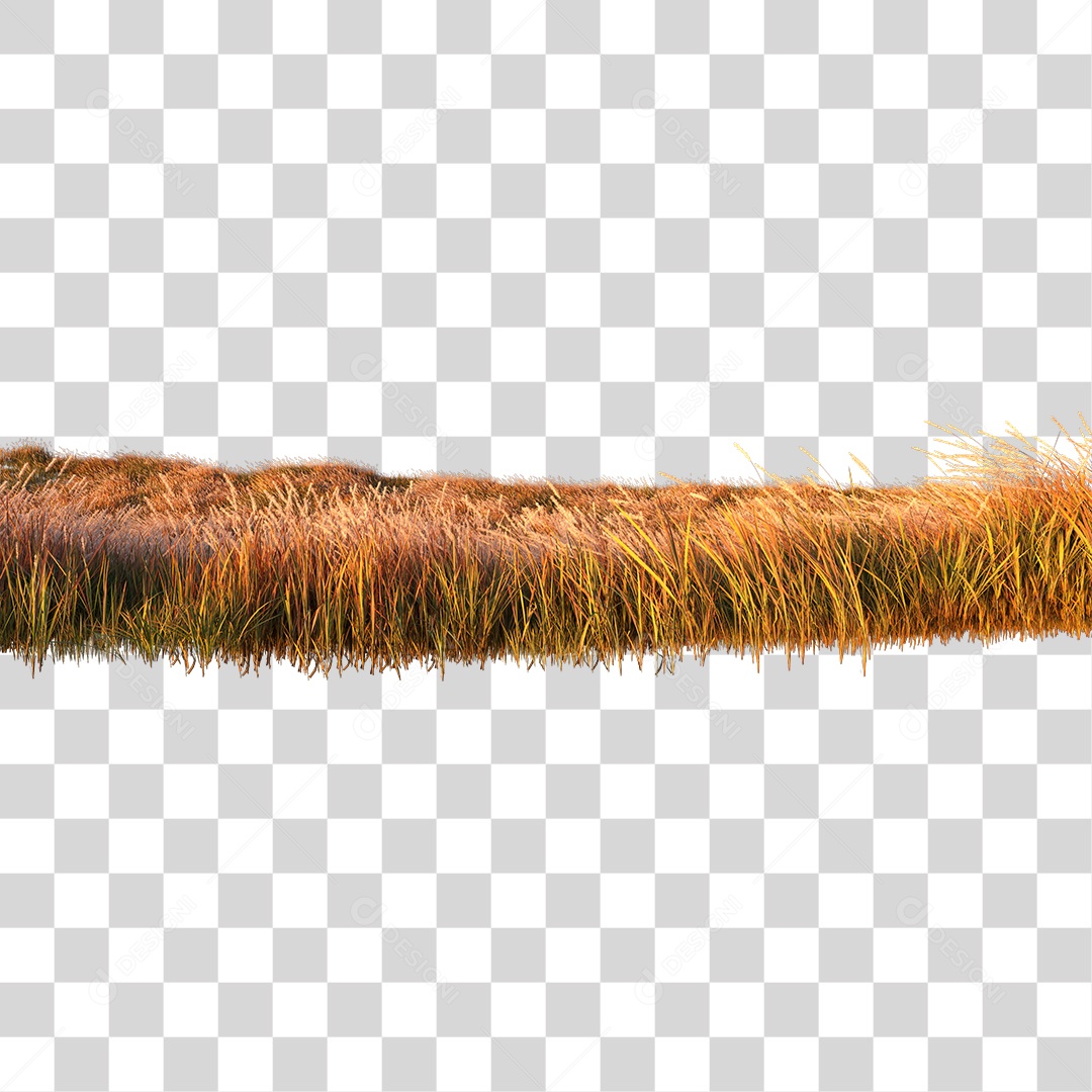 Paisagem de Capim ao Por Do Sol PNG Transparente