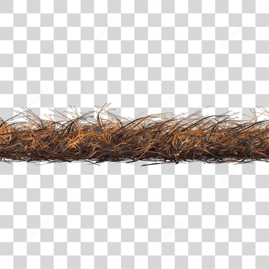 Arbusto Queimado PNG Transparente