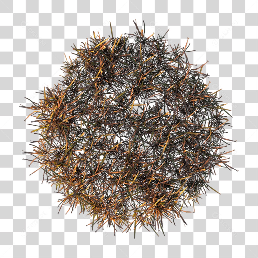 Arbusto Queimado PNG Transparente