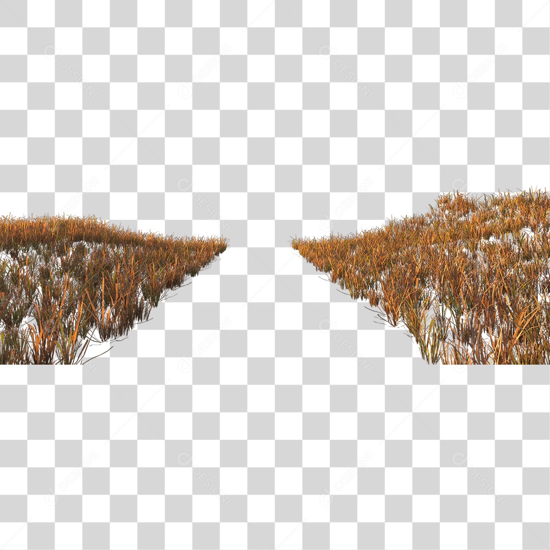 Capim Seco Com Passagem No Meio PNG Transparente