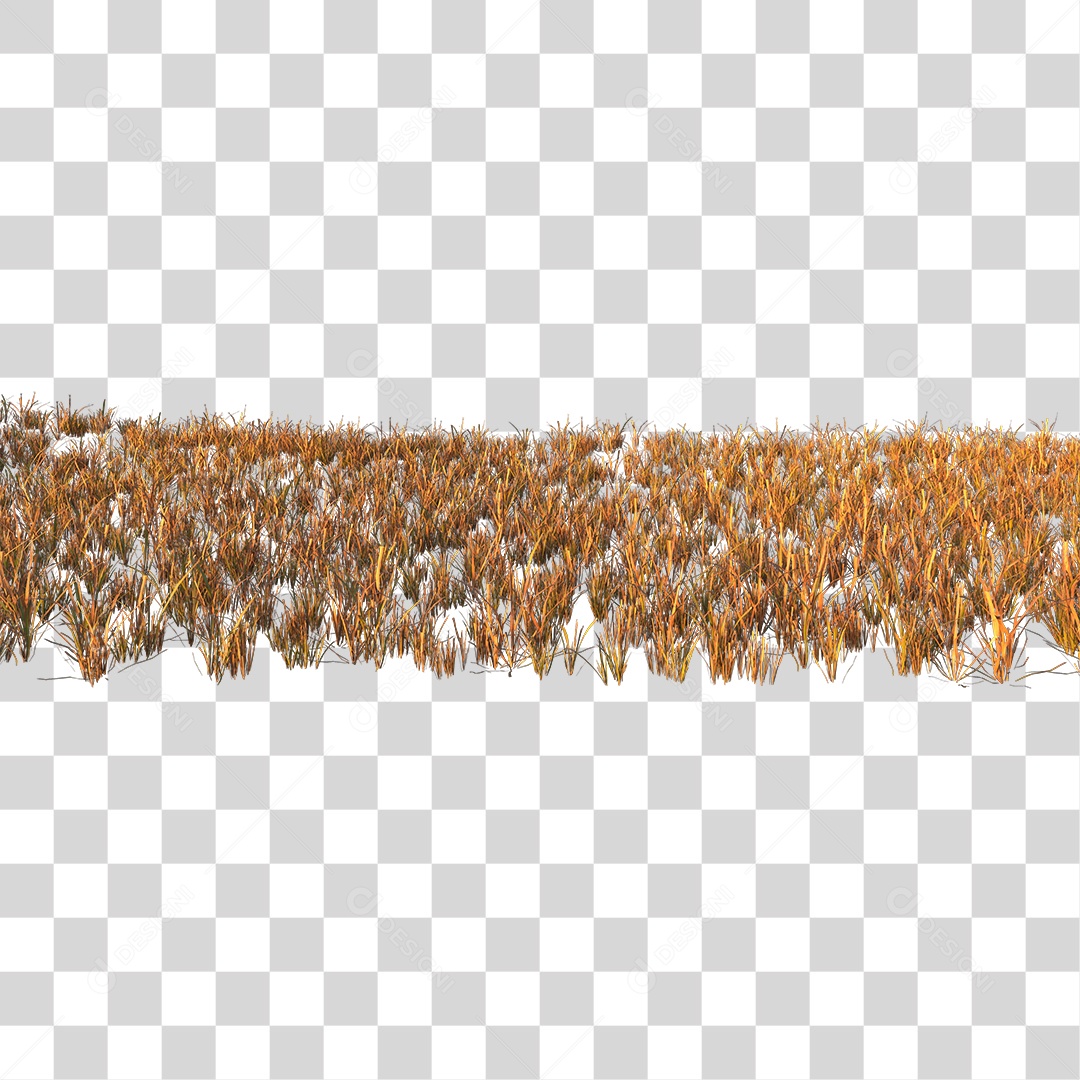 Campo Seco PNG Transparente