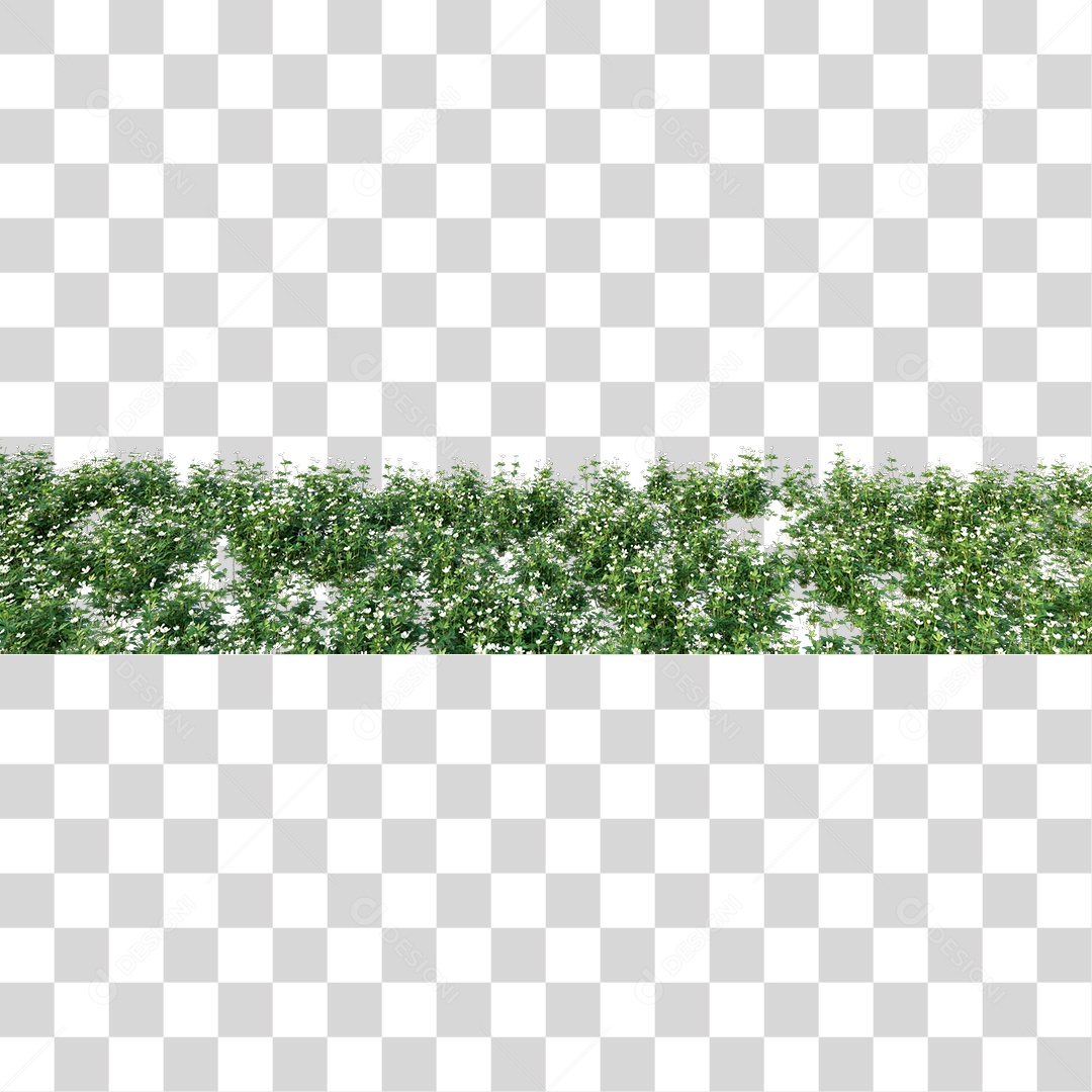 Plantas Verdes Com Flor PNG Transparente