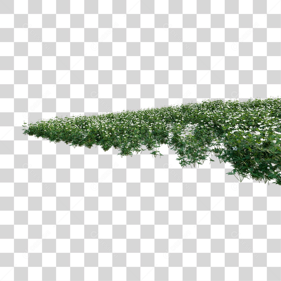 Verdes Com Flores PNG Transparente