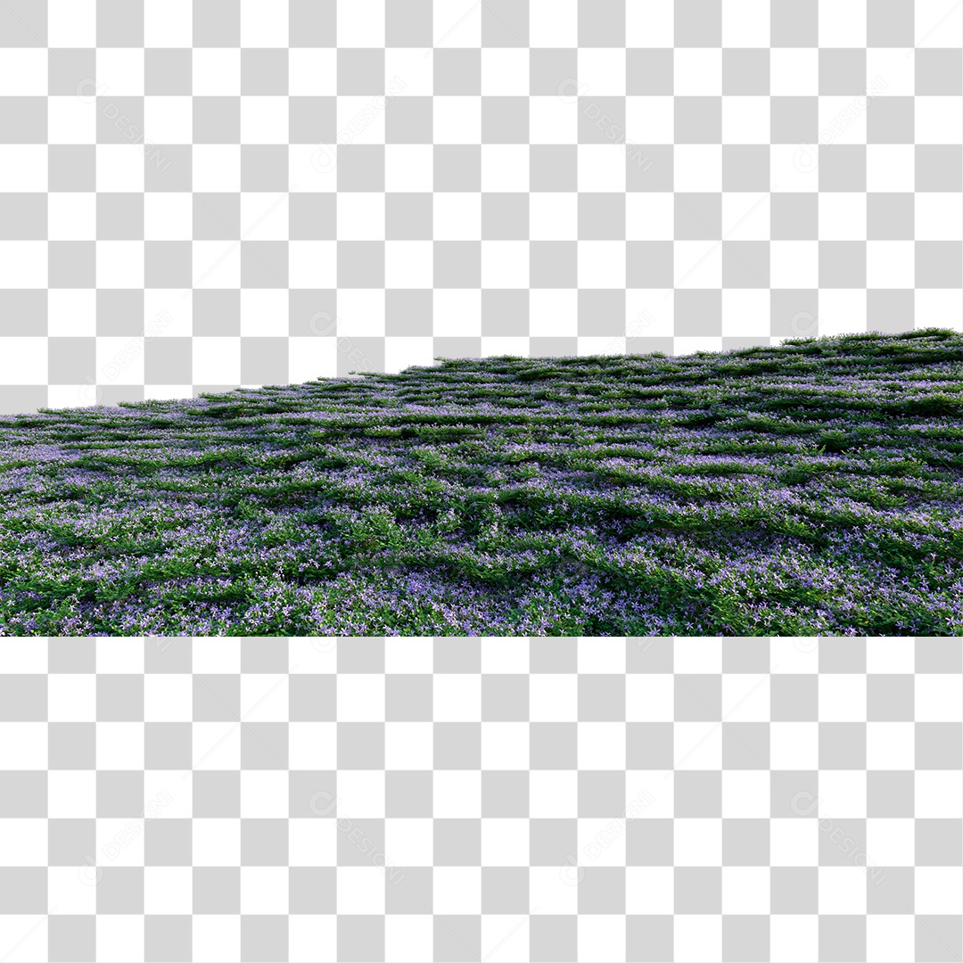 Campo Com Flores PNG Transparente