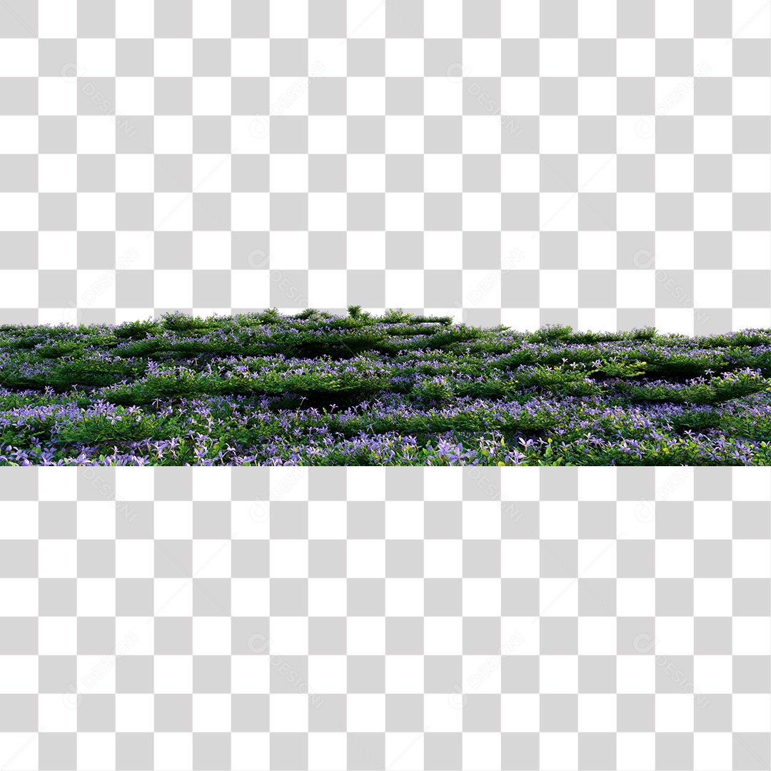 Planta Arbusto Com Flores PNG Transparente