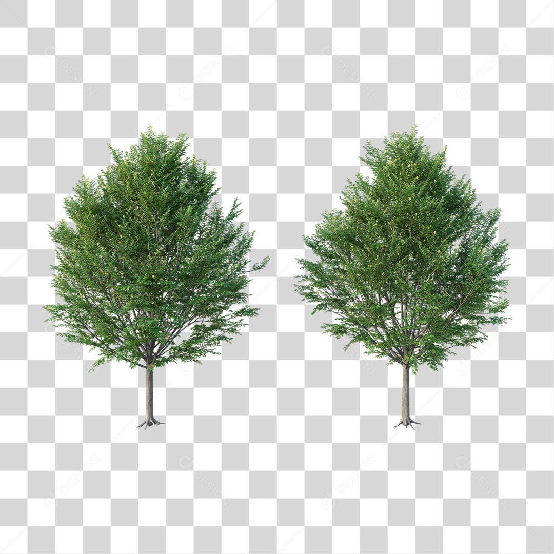 Árvores verdes PNG Transparente