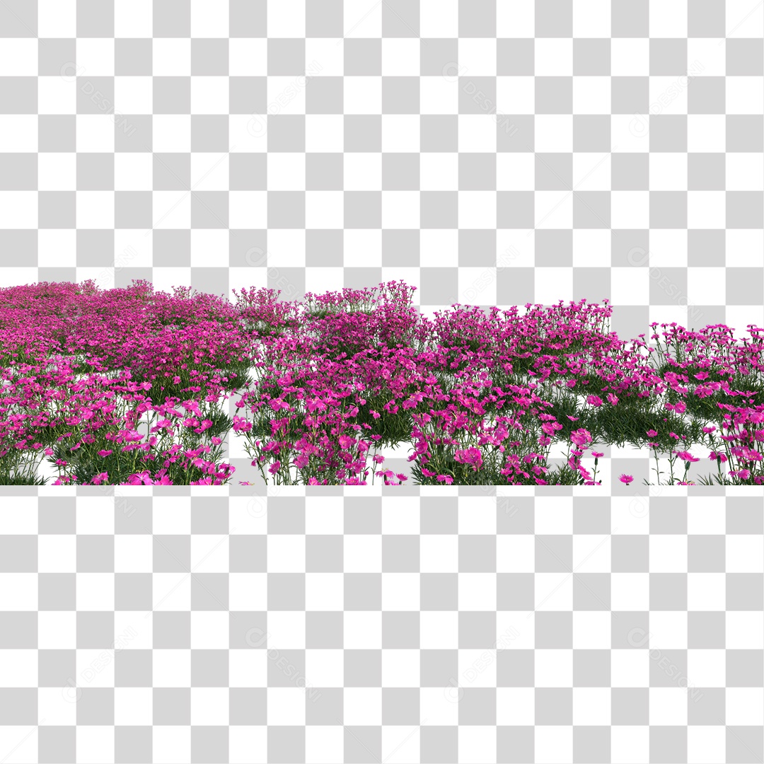 Planta Com Flores Rosas PNG Transparente