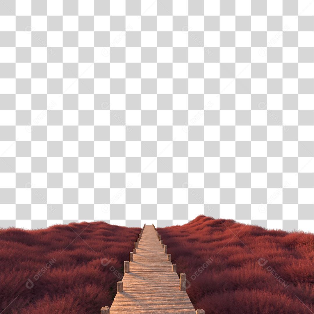 Passarela Sobre Campo ao Por Do Sol PNG Transparente
