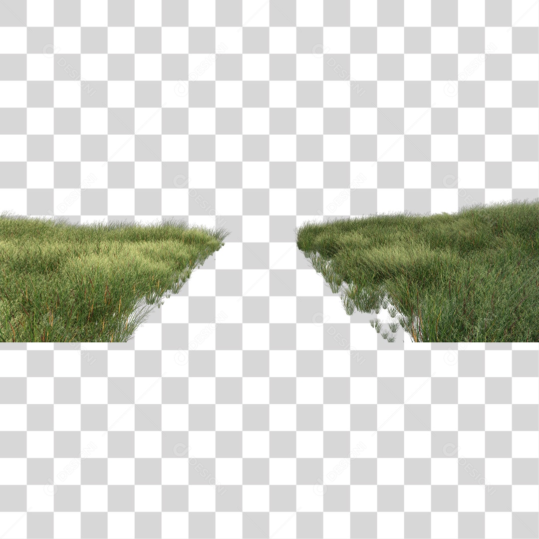 Capim Verde PNG Transparente